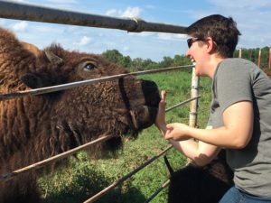 A bison eats food from a woman's hand.